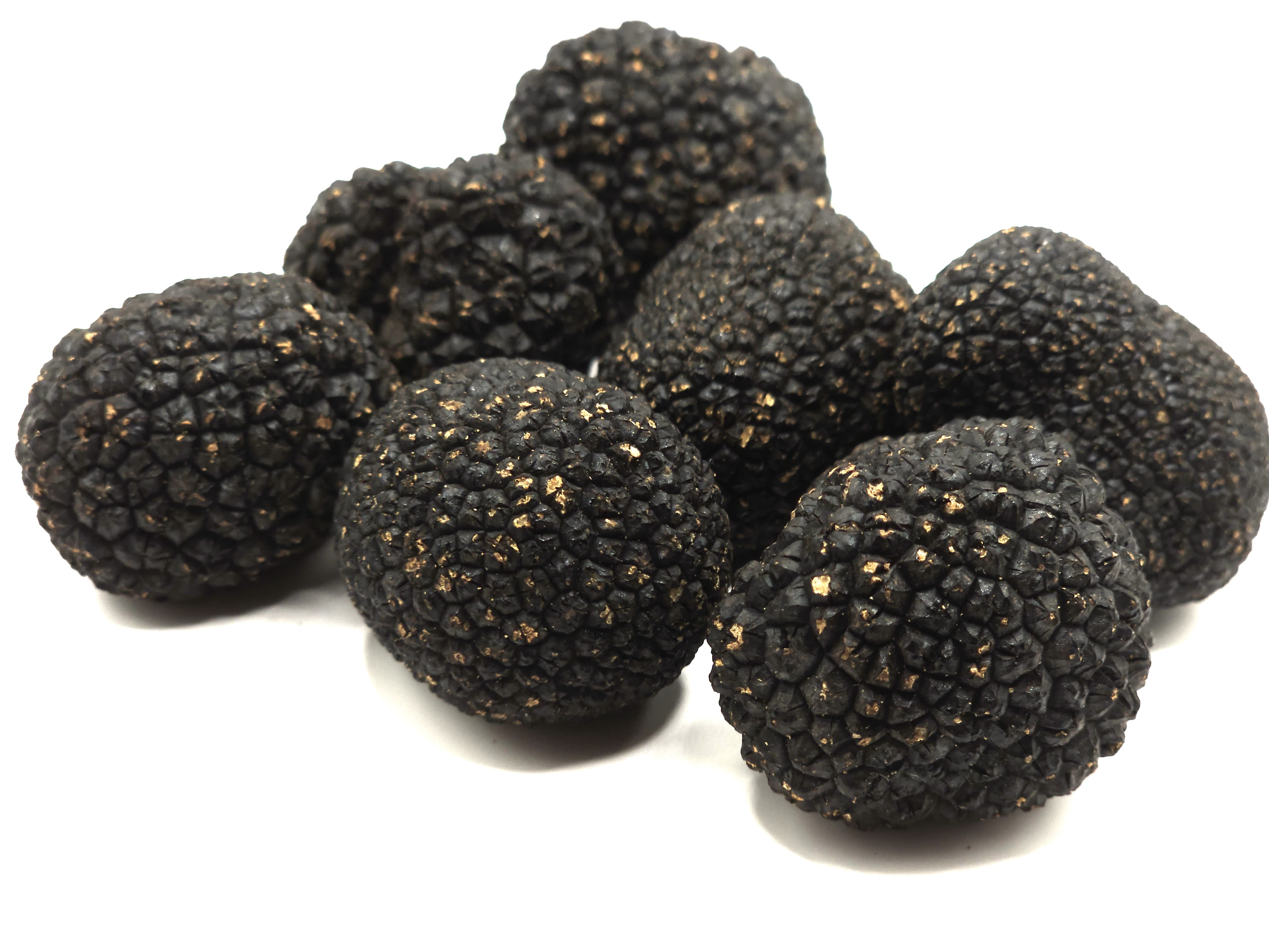 Tuber - Sommertrüffel (Tuber aestivum Vitt.) in Gramm (Verkaufsgewicht)