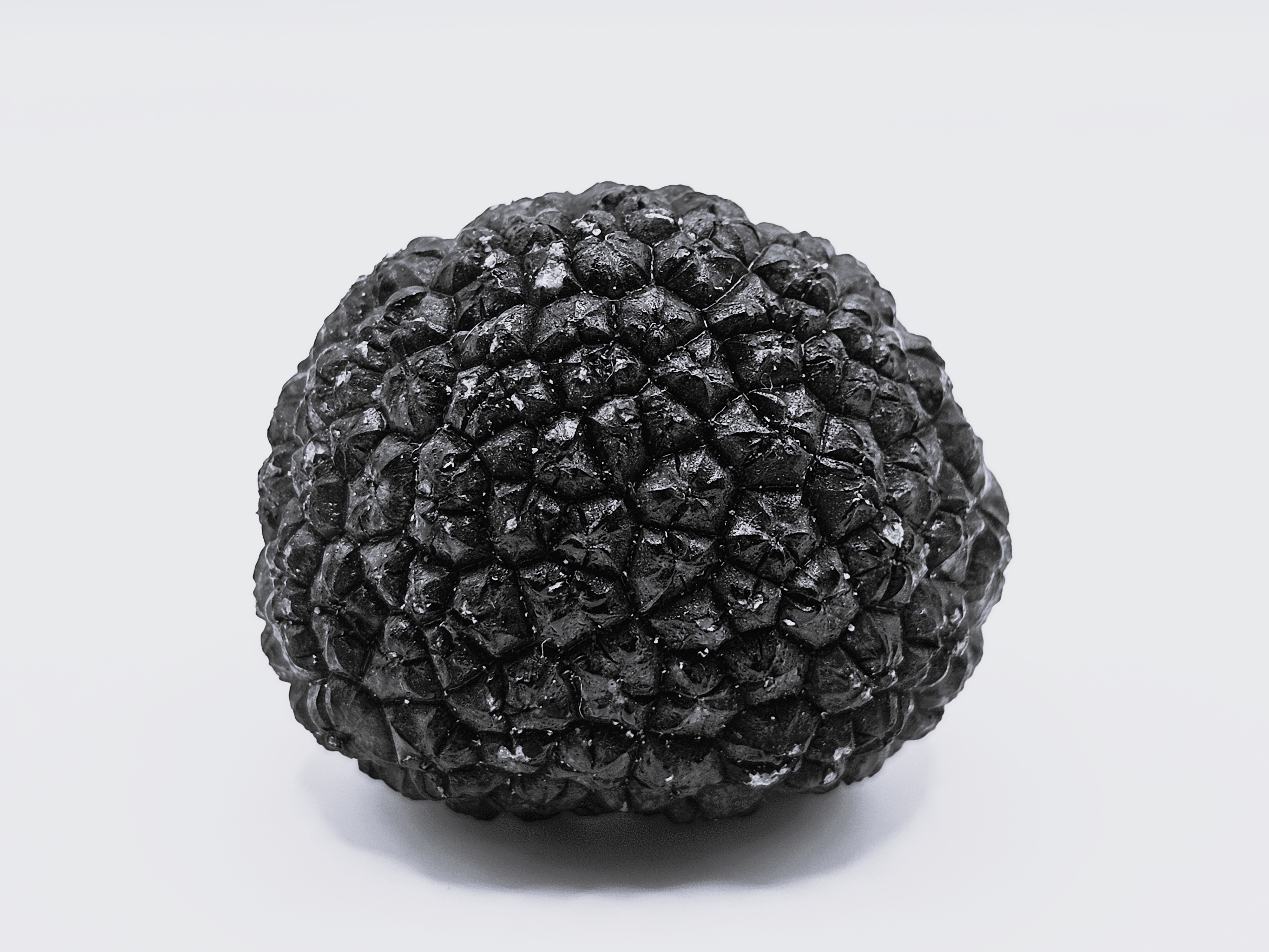 Tuber - Sommertrüffel (Tuber aestivum Vitt.) in Gramm (Verkaufsgewicht)